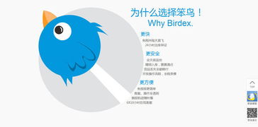 笨鳥(niǎo)海淘 把轉(zhuǎn)運(yùn)物流打到極致,做海淘供應(yīng)鏈?zhǔn)袌?chǎng)的先飛笨鳥(niǎo)