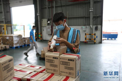 開放不息，海淘不止 疫情防控常態化下的廣州對外開放與海淘物流之路